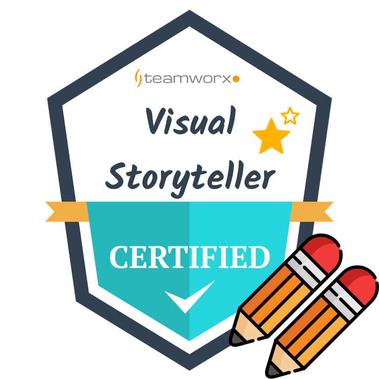 Teamworx Certified Visual Storyteller Badge
